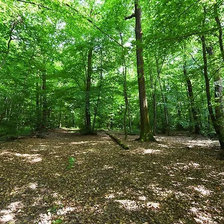 Hytte En Lisiere De Foret Nogent-en-Othe