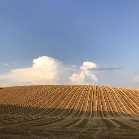 En Lisiere De Foret Hytte